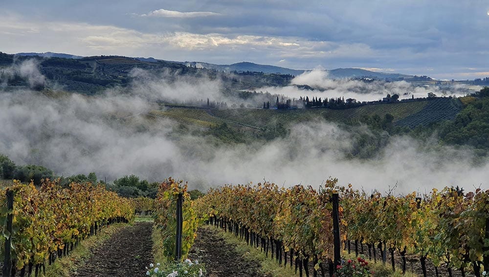 Chianti Classico