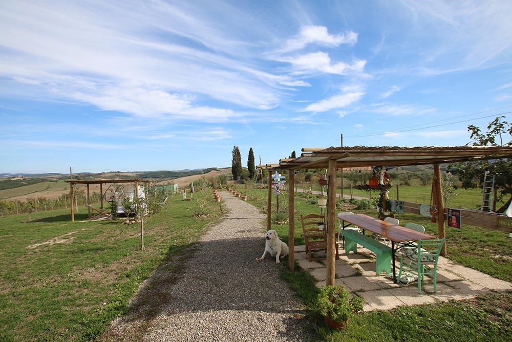 Esterno Il-Pelo-nelluovo-Agriristorante